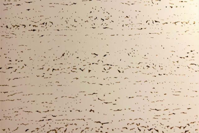 石膏ボードの天井